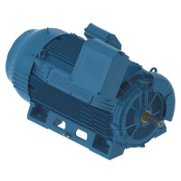  W50 Industrial Motor – Low Voltage