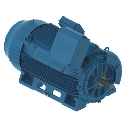  W50 Industrial Motor – Low Voltage