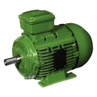 WW21 Industrial Motor – Aluminium Multimounting Frame – Efficiency E2